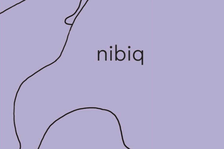 nibiq Workshop trans Menschen für cis Personen